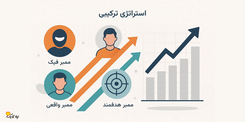 استراتژی ترکیبی