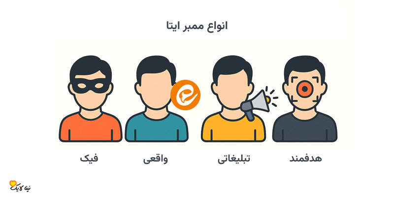 اینفوگرافیک انواع ممبر 